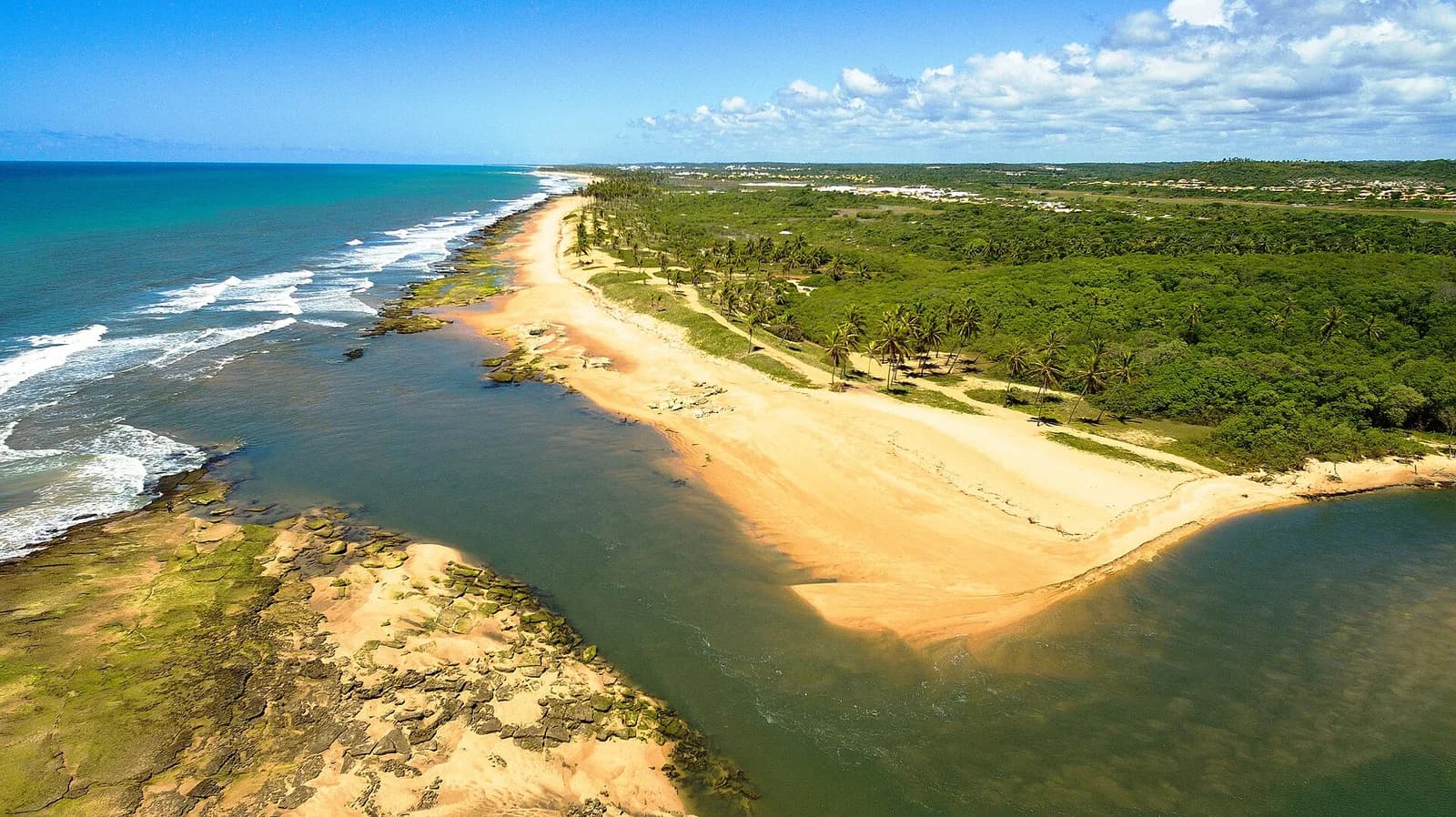 Praia de Sauípe, em Mata de São João, com faixa larga de areia clara e coqueiral denso