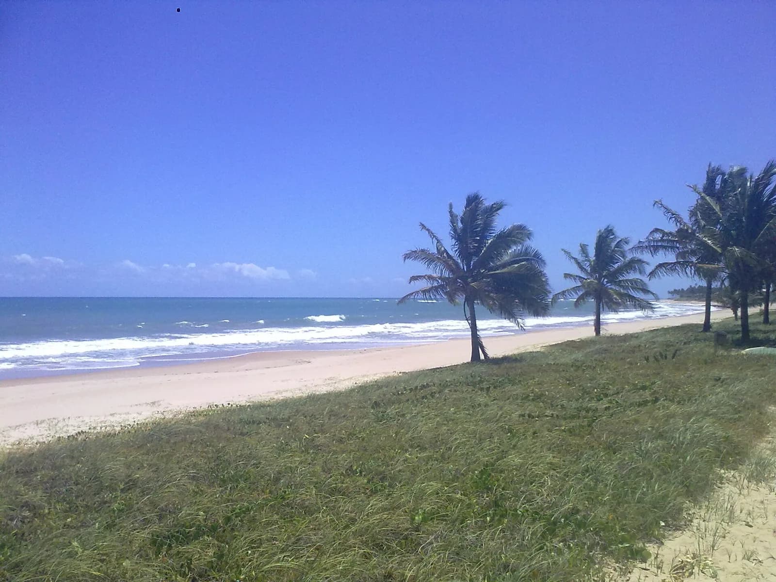 Praia de Guarajuba, no Litoral Norte baiano, com mar calmo e coqueiral na orla