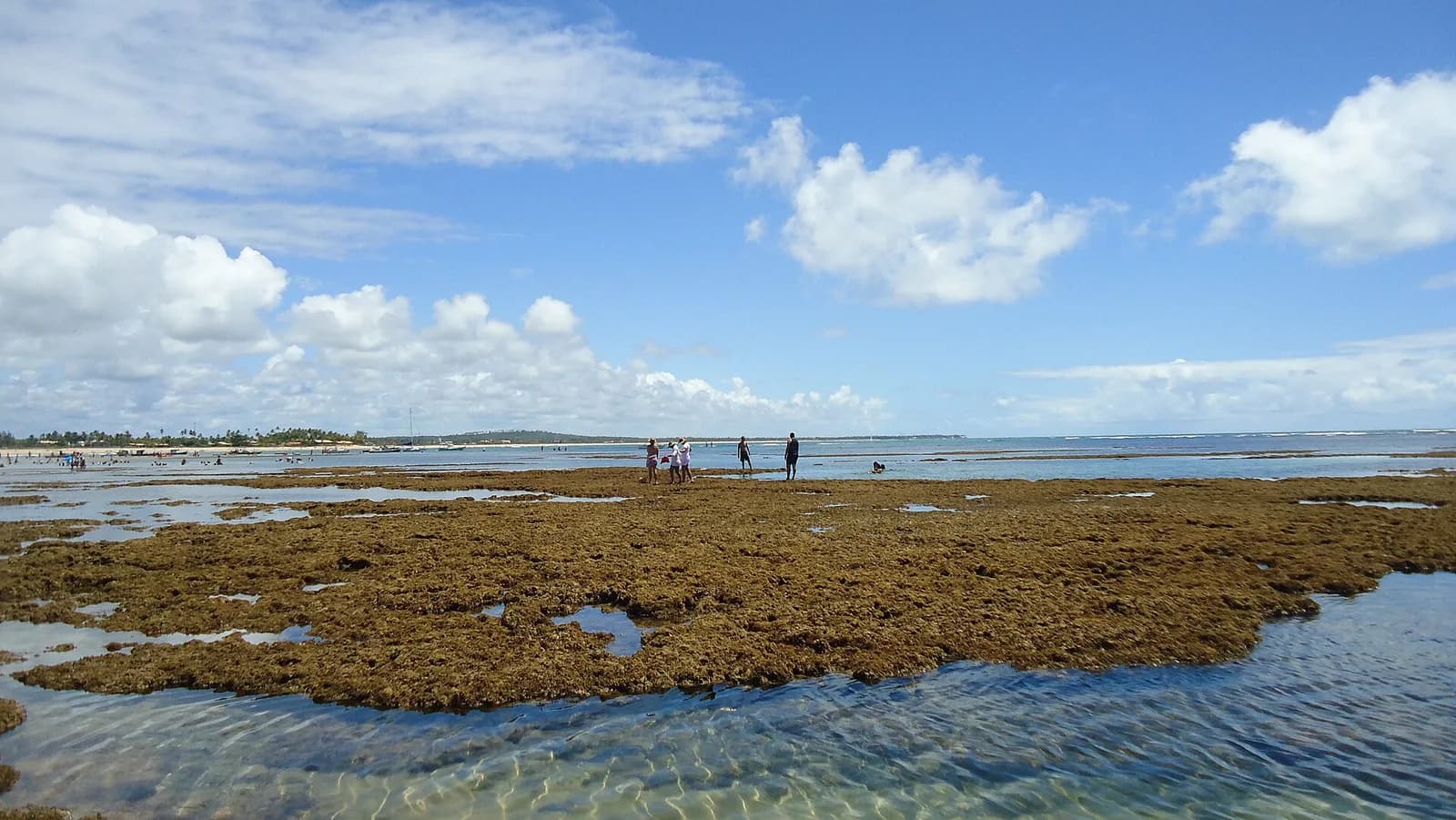 Piscinas naturais de águas mornas em Itacimirim, formadas entre os recifes quando a maré desce